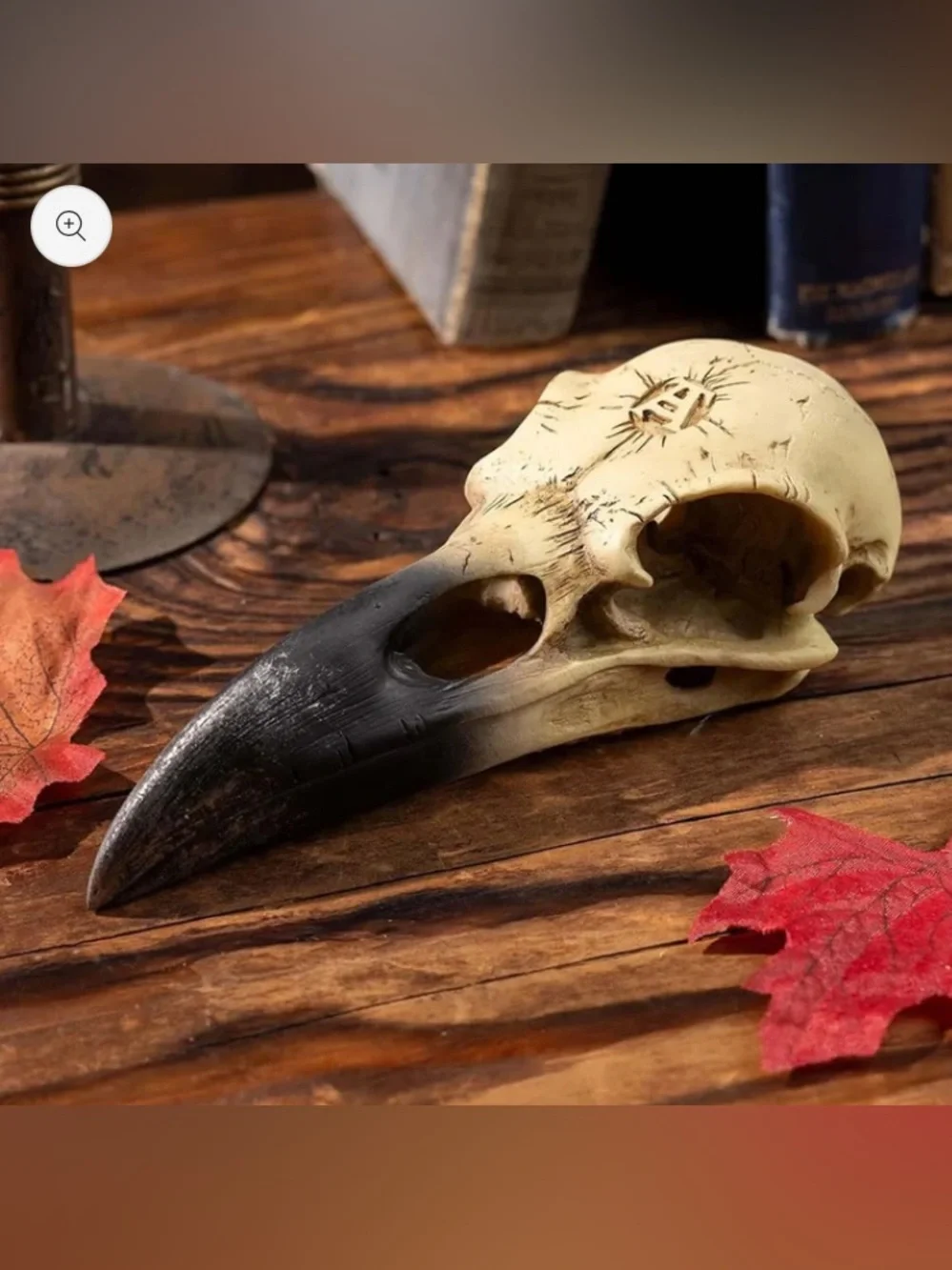 Alchemy Gothic Raven Skull Accent - Corvus Alchemica